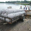 ปรับปรุงเครื่องมือรวบรวมเมล็ดหอยนางรมธรรมชาติ